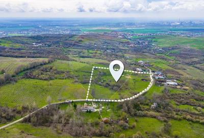 Teren Construcții intravilan de 33500 mp, în Valea Orlei - 3