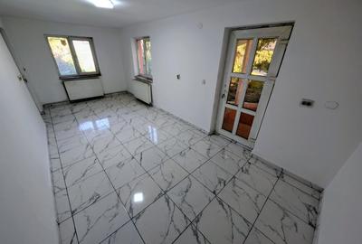 Casa individuala 5 camere P+M 196 mpt + 1200 mp teren asfalt - Horlesti (Rediu) - 17