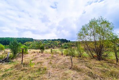 Teren 1,4 hectare Draganu Arges - 3