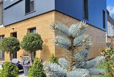 Model Tau Termen finalizare Decembrie 2026 - 11