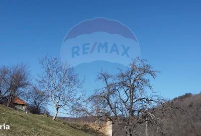 Spațiu comercial, în Valea Vințului - 2