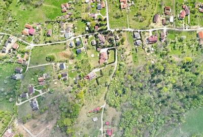 Teren intravilan Bran- Predelut - 17