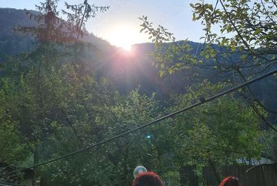 Vila P+2 cu 8 camere ?i 4600 mp teren Ideala pentru pensiune, casa multifamiliala sau investi?ie - 8