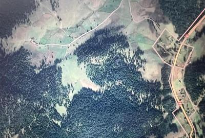 Teren extravilan la Poiana Horea - Belis - 16.000 mp - 2
