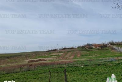 Spațiu comercial, în Pantelimon - 5