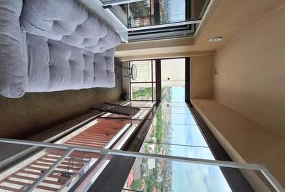 Apartament cu 2 camere decomandat în Valea Ialomiței - 4