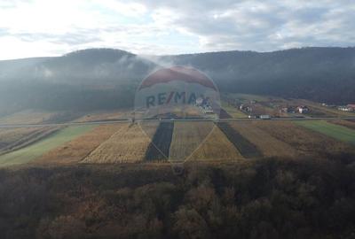 Teren Construcții intravilan de 9000 mp, în Gilău - 15