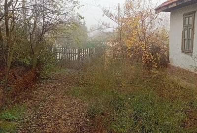 Casă cu 4 camere cu Teren 1110 Mp în Vlad Țepeș - 2