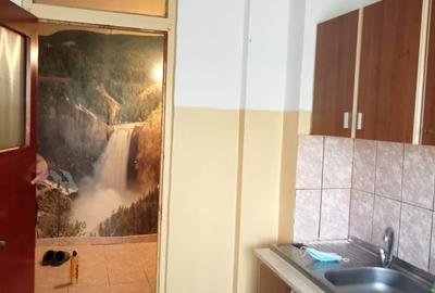 Apartament cu 2 camere semidecomandat în Mărgeanului - 5