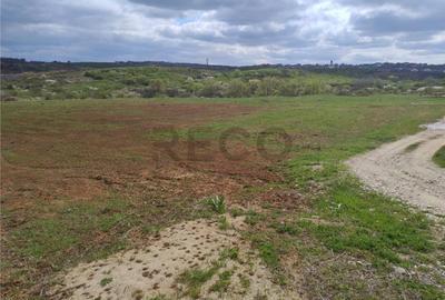 Teren de 4000 mp, în Paleu