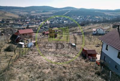 Teren Intravilan 662mp spre vanzare in Hamba ,Sura Mare - 4