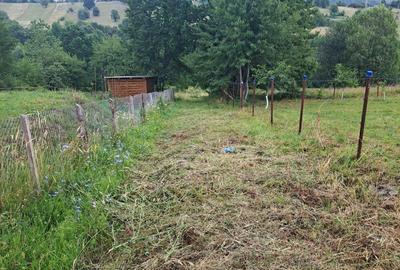 Teren de 1000 mp, în Viișoara - 2