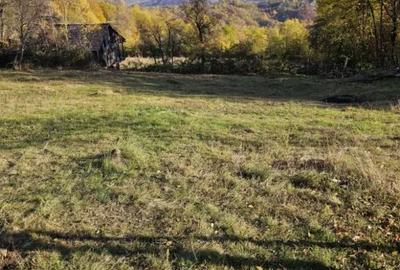 Teren de 950 mp, în Central - 3