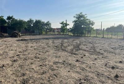 Casă cu 4 camere cu Teren 1439 Mp în Sălard - 15