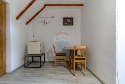 Casa / Vila cu 7 camere de vanzare - 13