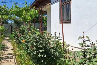 Casă cu 6 camere cu Teren 1668 Mp în Stăncuța - 2