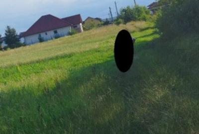 Catalina, 39 ari teren - 1