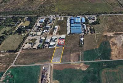 Teren de 5000 mp, în Domnești - 1