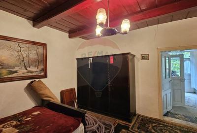 Casă individuală cu 2 camere cu Teren 9200 Mp în Pădureni (Șendriceni) - 6