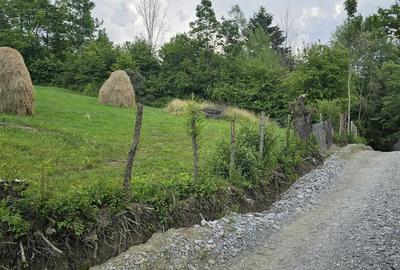 Spațiu comercial, în Valea Doftanei - 1