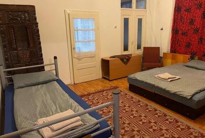 Casă cu 2 camere în Viișoara - 4