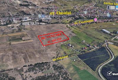 Teren agricol intravilan de 41200 mp, în Iris - 3