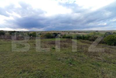 Teren de 15000 mp, în Ciurila - 4