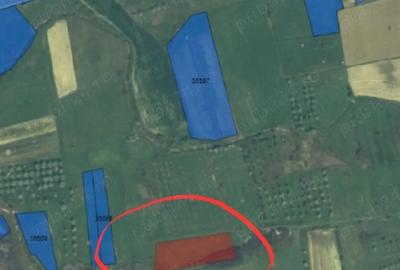 Teren de 2000 mp, în Obreja - 4