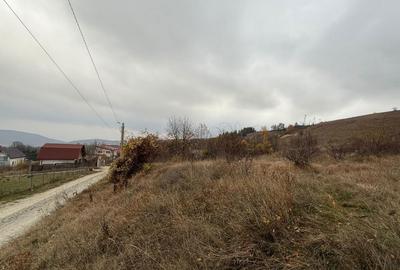 Spațiu comercial, în Ciurila - 1