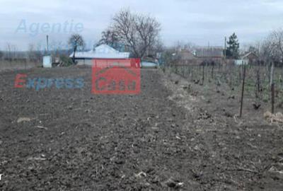 Teren de 3000 mp, în Prisăcani - 6