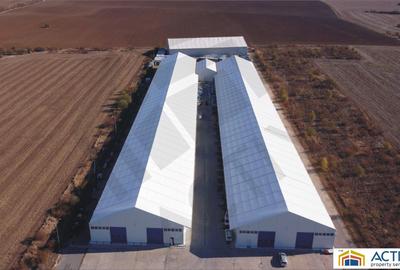 Hale de inchiriat - Ecom Logistic Center - 2