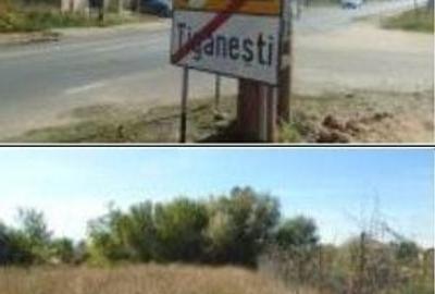 Teren de 613 mp, în Brânceni - 7
