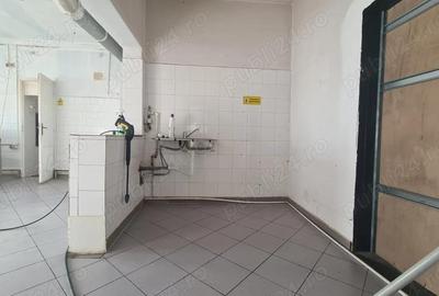 Casa de inchiriat - 4