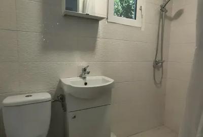 Apartament cu 4 camere decomandat în Domenii - 11