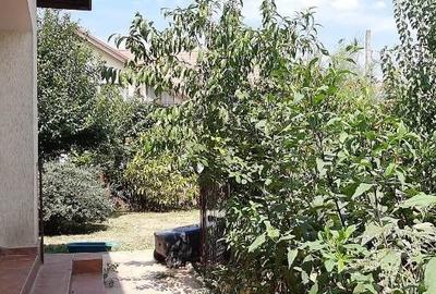 Corbeanca,vila amenajata deosebit,teren 500 mp,crama,foisor,vegetatie matura - 14