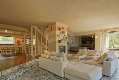 Spațiu comercial, de 645 mp, în Cheile Râșnoavei - 7