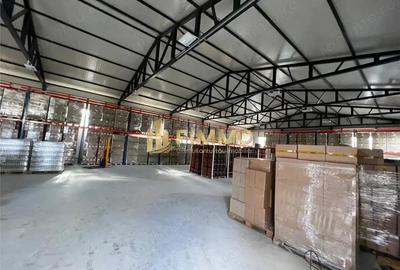 Hala Ipotesti | 400 mp | trifazic 120 kw | 350 mp curte - 3