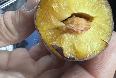 Spațiu comercial, în Otvești - 6