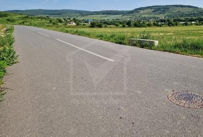 5000 mp TEREN INTRAVILAN in zona industriala Baciu - 2