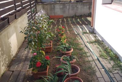 Vanzare duplex, P+1+M, Otopeni Vanzare duplex, P+1+M, Otopeni - 15