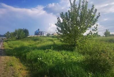 Teren intravilan 5 hectare comasat Bocsa 6 euro mp negociabil - 7