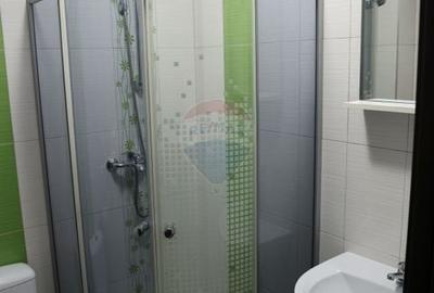 Apartament cu 1 camere decomandat în Burdujeni - 13