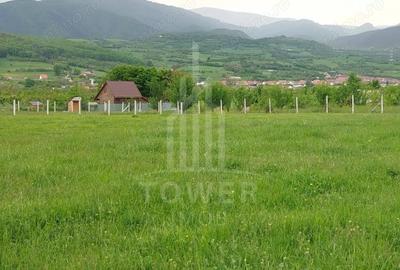 Teren de vinzare in Tropini Vechi - 4