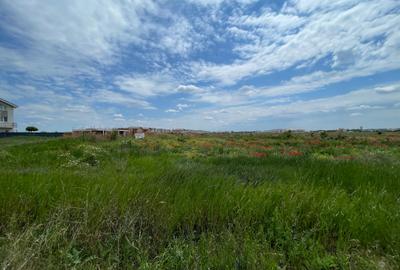 Vanzare teren Aeroport Otopeni Dr.Garii Balotesti zona Fermei Vanzare teren Aeroport Otopeni Dr.Garii Balotesti zona Fermei - 5