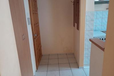 Apartament cu 2 camere semidecomandat în Central - 7