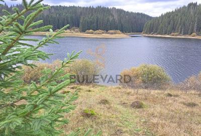 Proprietate unica! Teren generos cu iesire la lac! - 2