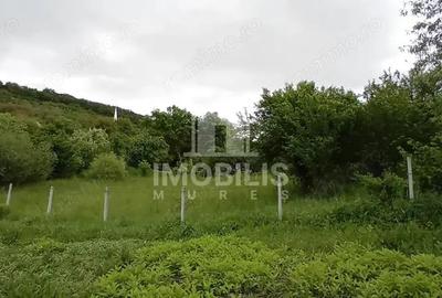 Teren de 994 mp, în Budiu Mic - 3