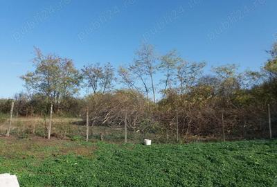 Casă cu 2 camere cu Teren 1322 Mp în Ungurei - 2