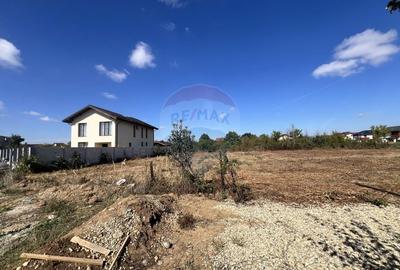 Teren ideal pentru casa de vis in Mogosoaia - 849,3 mp, cu utilitati Teren ideal pentru casa de vis in Mogosoaia - 849,3 mp, cu utilitati - 4