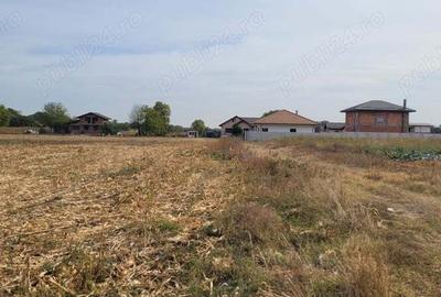 Teren de 4000 mp, în Măgurele - 1